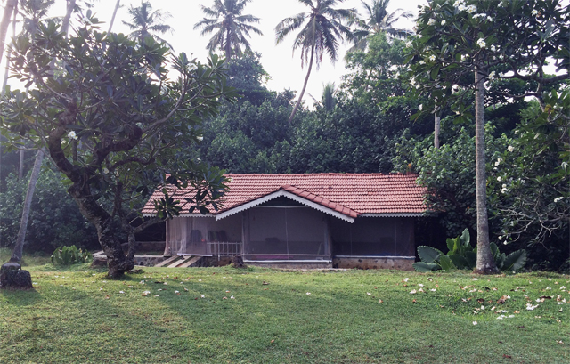 The yoga shala where we practised in Sri Lanka.