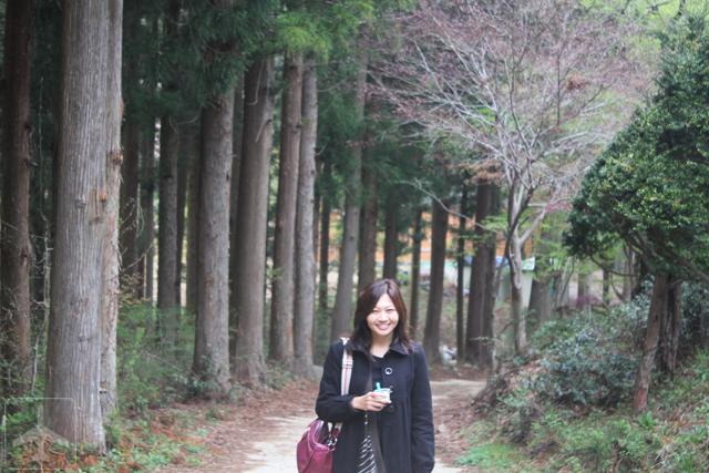 Other than Seoul, you could consider visiting the South Korean countryside such as Boseong, home to the Daehan Dawon Tourist Tea Plantation (Boseong Green Tea Plantation)