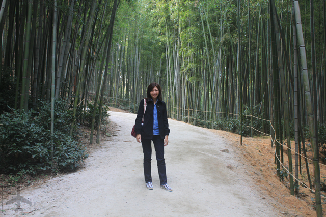 Other than Seoul, you could consider visiting the South Korean countryside such as Damyang, home to the Juknokwon (Bamboo Garden).