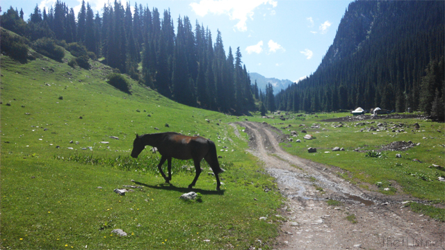 Kyrgyzstan Travel Guide