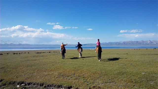 View from the horseback