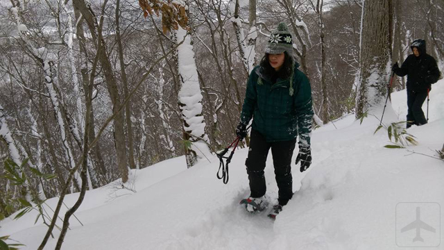 niseko6