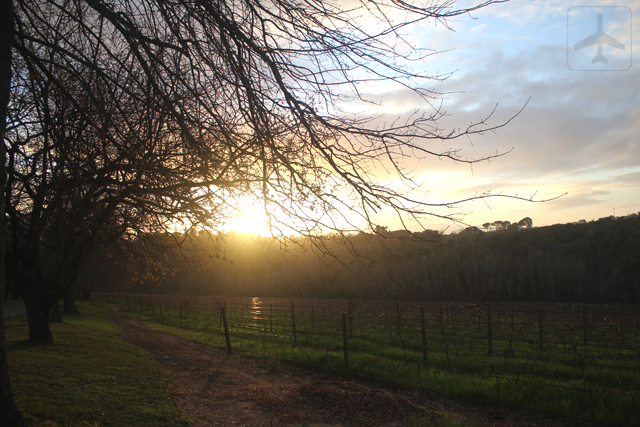 Sunset at Rust En Vrede