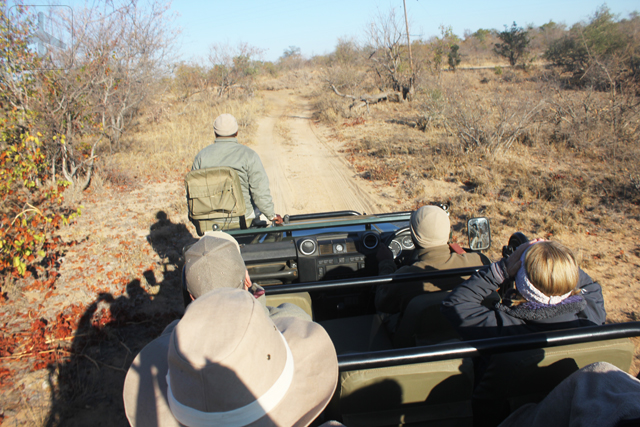 safari4