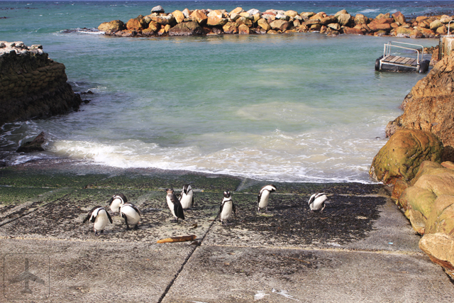 Betty's Bay