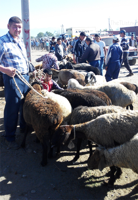 Kyrgyzstan - The People