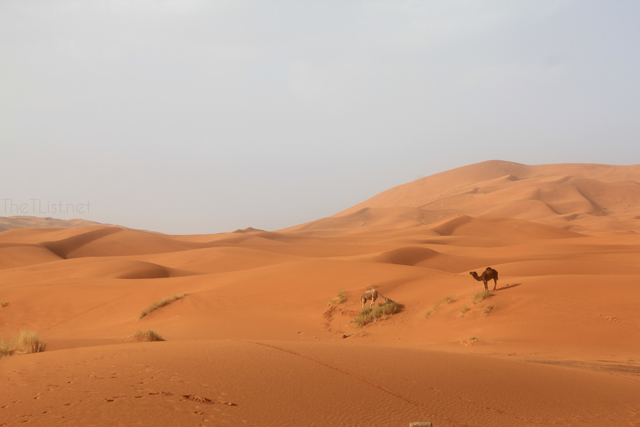Morocco Destination Guide
