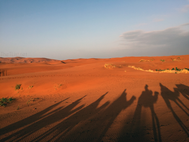 It Rained in the Sahara!