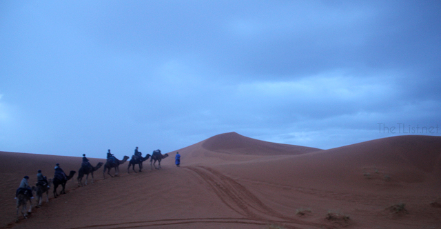 It Rained in the Sahara!