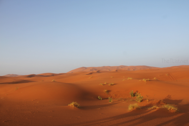 It Rained in the Sahara!
