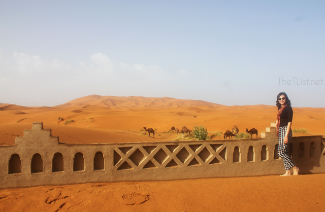 It Rained in the Sahara!