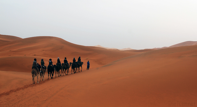 It Rained in the Sahara!