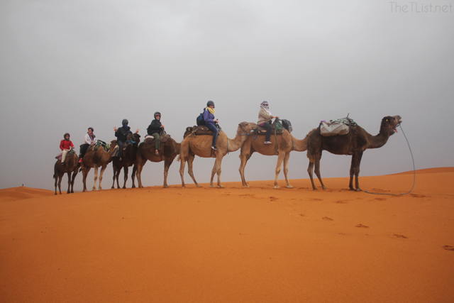 It Rained in the Sahara!