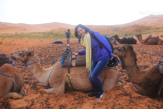 It Rained in the Sahara!