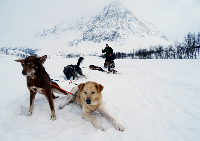 A Weekend in Tromsø