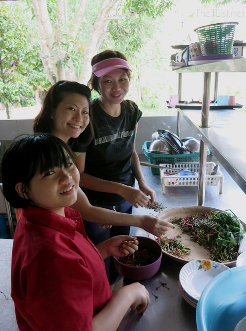 Volunteering in Thailand