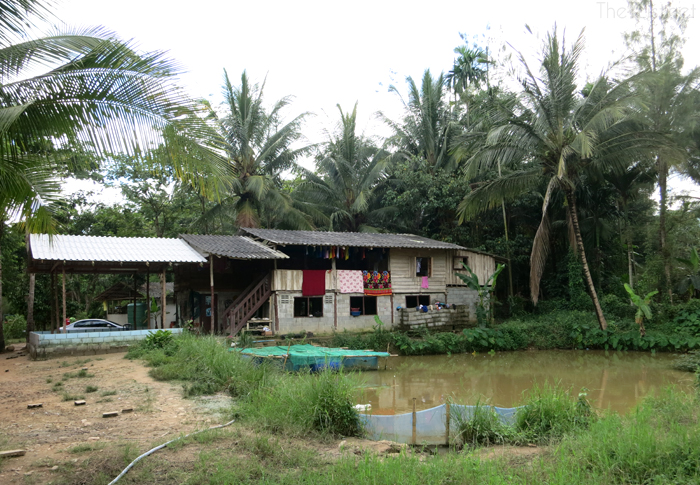 Volunteering in Thailand