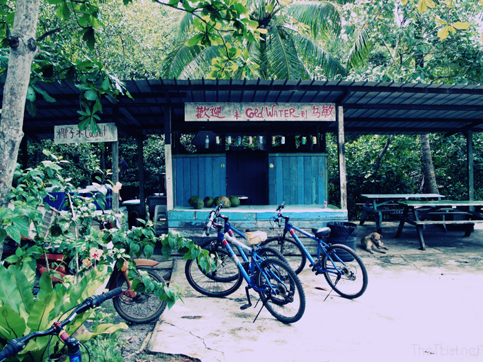 5 Best Experiences in Singapore