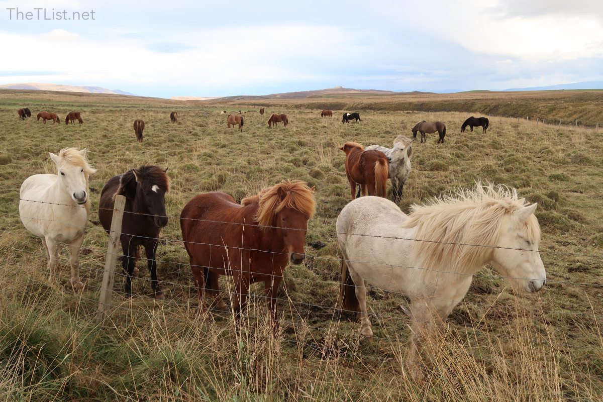 Iceland Travel Blog